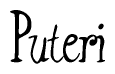 The image is of the word Puteri stylized in a cursive script.