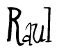 The image is of the word Raul stylized in a cursive script.