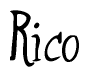 The image is of the word Rico stylized in a cursive script.