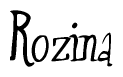 The image contains the word 'Rozina' written in a cursive, stylized font.