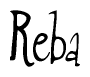 The image contains the word 'Reba' written in a cursive, stylized font.