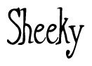 The image contains the word 'Sheeky' written in a cursive, stylized font.