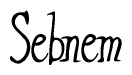 The image contains the word 'Sebnem' written in a cursive, stylized font.