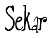 The image contains the word 'Sekar' written in a cursive, stylized font.