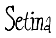   The image is of the word Setina stylized in a cursive script. 