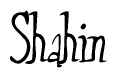 Shahin Calligraphy Text 