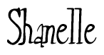 The image is a stylized text or script that reads 'Shanelle' in a cursive or calligraphic font.