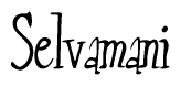 The image is of the word Selvamani stylized in a cursive script.