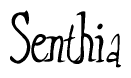The image is of the word Senthia stylized in a cursive script.