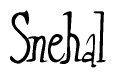 The image contains the word 'Snehal' written in a cursive, stylized font.