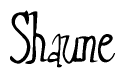 The image is of the word Shaune stylized in a cursive script.