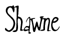 The image is of the word Shawne stylized in a cursive script.