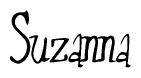 The image is of the word Suzanna stylized in a cursive script.