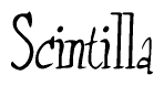 The image contains the word 'Scintilla' written in a cursive, stylized font.