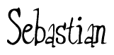 The image is a stylized text or script that reads 'Sebastian' in a cursive or calligraphic font.