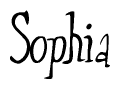 The image is a stylized text or script that reads 'Sophia' in a cursive or calligraphic font.