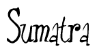 The image is a stylized text or script that reads 'Sumatra' in a cursive or calligraphic font.
