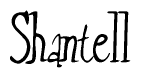 Cursive 'Shantell' Text