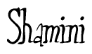 The image is of the word Shamini stylized in a cursive script.