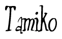 The image contains the word 'Tamiko' written in a cursive, stylized font.