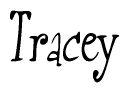 The image is of the word Tracey stylized in a cursive script.