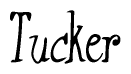 The image contains the word 'Tucker' written in a cursive, stylized font.