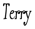 The image is of the word Terry stylized in a cursive script.