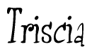 The image is a stylized text or script that reads 'Triscia' in a cursive or calligraphic font.