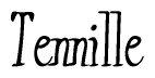 The image contains the word 'Tennille' written in a cursive, stylized font.
