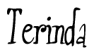 The image contains the word 'Terinda' written in a cursive, stylized font.