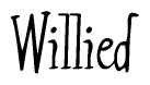 The image is of the word Willied stylized in a cursive script.