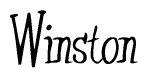 The image is a stylized text or script that reads 'Winston' in a cursive or calligraphic font.