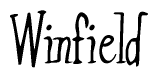 Cursive Script 'Winfield' Text