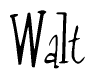 The image is of the word Walt stylized in a cursive script.