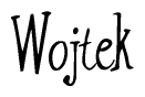 The image contains the word 'Wojtek' written in a cursive, stylized font.