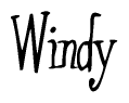 The image is of the word Windy stylized in a cursive script.
