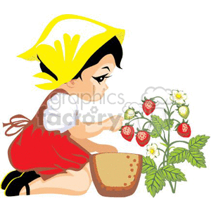 Illustration of a young girl in traditional clothing picking strawberries from a plant.