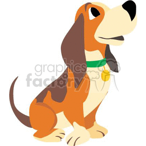 Cute beagle dog wearing a green collar