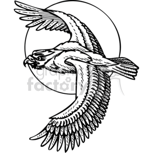 Clipart image of a detailed flying eagle with wings spread out against a circular background.