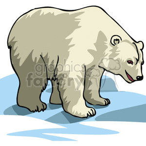 Polar Bear on the ice