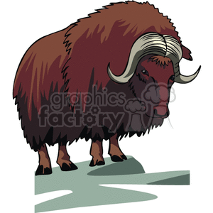   The image depicts a cartoon of a musk ox, with a tawny coat and a large set of horns. The ox is standing on a flat, grassy surface  