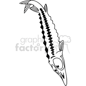 This clipart image contains a stylized, caricatured depiction of a fish with exaggerated features that give it a humorous appearance. The fish has an elongated body with a zig-zag pattern, which might represent its bones or simply be a playful design element. It has large, prominent eyes and a pointed snout, giving it a somewhat comical expression.