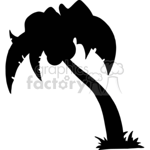 black palm tree