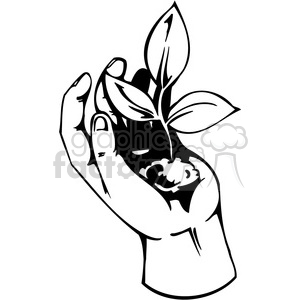 hand holding plant clipart