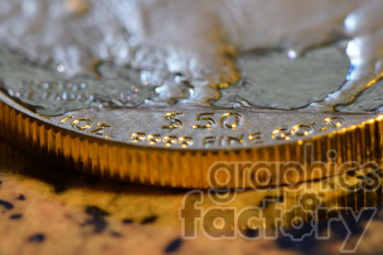 The photo shows a gold coin, which appears to be a traditional round-shaped currency made of gold material. It has '$50 1 OZ Gold Coin' engraved on it