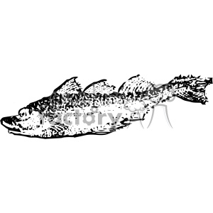 A black and white clipart image of a fish, featuring a stylized and abstract design with textured details.