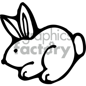 Black and White Rabbit