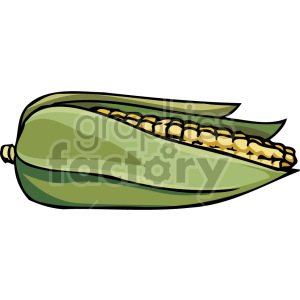 Clipart image of an ear of corn on the cob with green husks partially peeled back.