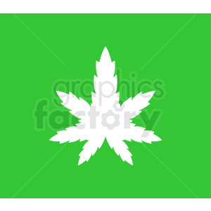 vector marijuana leaf design on green background