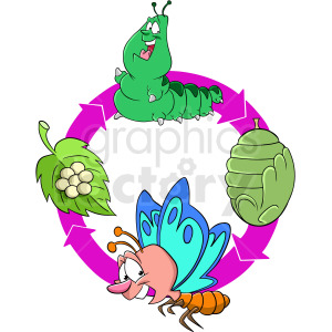 The clipart image features the life cycle of a butterfly shown in a circular sequence with arrows. Starting from the top and moving clockwise, it shows a green caterpillar, then a bunch of eggs on a leaf, followed by a chrysalis, and finally, a colorful butterfly. The circular arrow motif emphasizes the cyclical nature of this transformation process.